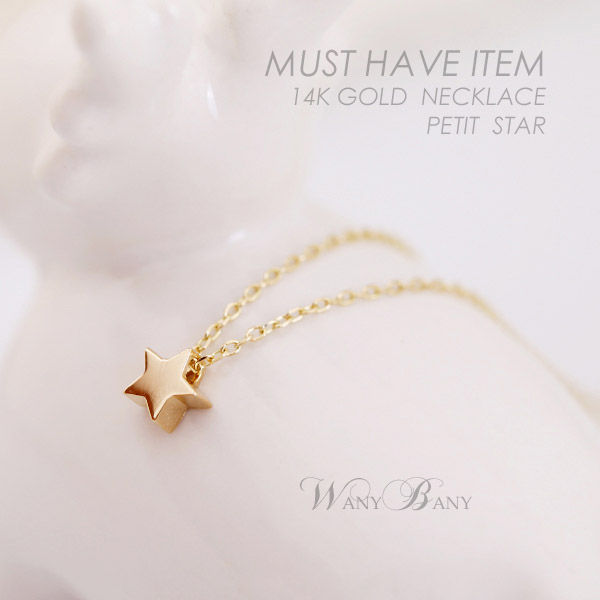 ▒14K GOLD▒ Petit Star Necklace