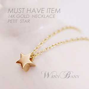 ▒14K GOLD▒ Petit Star Necklace